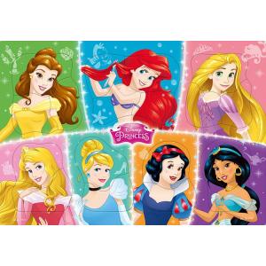 Disney ディズニー　パズル　お宮参り　凛々しく優しく美しく Disney ディズニー パズル お宮参り 凛々しく優しく美しく