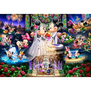 テンヨー（Tenyo） ジグソーパズル D-300-047 ミッキー＆ミニー