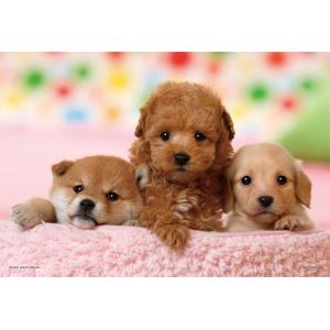 ジグソーパズル 僕たちともだち（トイ・プードル＆ダックス＆柴犬）  300ピース  YAM-03-8...