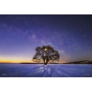 ジグソーパズル 300ピース ハルニレの木と天の川（北海道）  風景 YAM-03-906