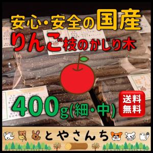 かじり木 国産 りんご 400g(細〜中枝) 送料無料 信州長野県飯綱町産｜とやさん工房