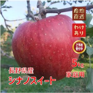『予約』約5kg シナノスイート 家庭用 長野のりんご