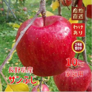 『予約』約１０kg　サンふじ　家庭用　樹上完熟　信州のりんご　長野県飯綱町(旧三水)産　訳あり品を産地直送でお取り寄せ　プレゼントやお土産に