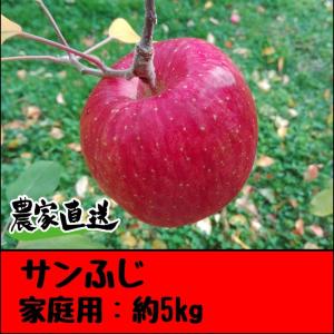 約5kg サンふじ 家庭用
