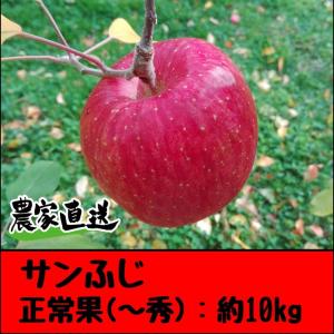 美味しいりんごの商品一覧 通販 yahoo ショッピング