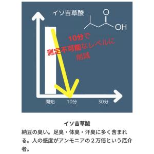 DASHOE ダッシュー 消臭スプレー 靴 シ...の詳細画像2