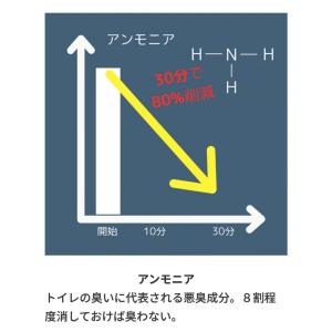 DASHOE ダッシュー 消臭スプレー 靴 シ...の詳細画像4