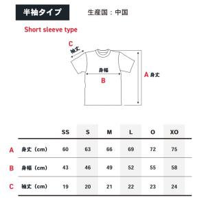 ポスト投函 GOSEN ゴーセン JPT62 ...の詳細画像4