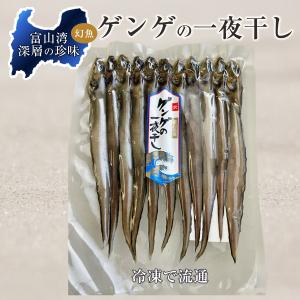 ゲンゲの一夜干し10〜12尾(富山湾産ノロゲン...の詳細画像1