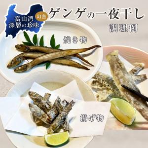 ゲンゲの一夜干し10〜12尾(富山湾産ノロゲン...の詳細画像2