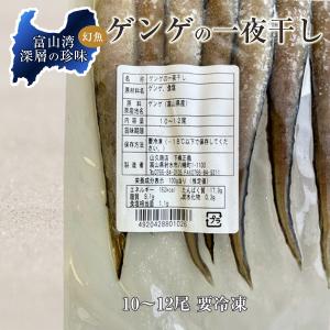 ゲンゲの一夜干し10〜12尾(富山湾産ノロゲン...の詳細画像3