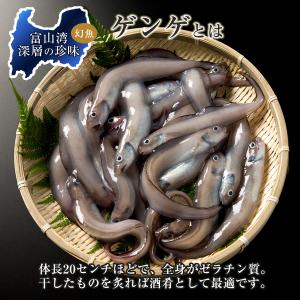 ゲンゲの一夜干し10〜12尾(富山湾産ノロゲン...の詳細画像4