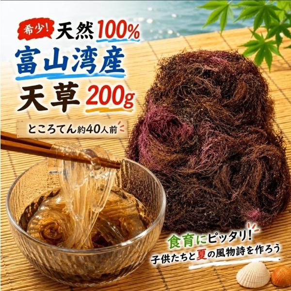 天草 てんぐさ 200g 富山湾 天然100% 心太(ところてん）や寒天の原料を提供 レシピ付き 食...