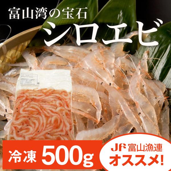 富山湾のシロエビ500g 飲食店応援［富山湾/白えび/業務/自宅/特価/唐揚げ・かき揚げ・天ぷらに/...