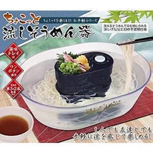 ちょこっと流しそうめん器 ハック HAC3143A そうめん流し