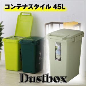 ゴミ箱 分別 屋外 屋内 キッチン 縦型 スリム 45リットル コンテナスタイル 蓋付き 袋が見えない｜toyo-hk