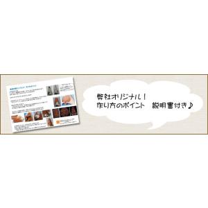 工作キット 自由研究 夏休み 工作 自由研究キ...の詳細画像4
