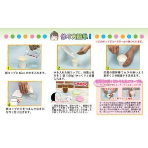 工作キット 自由研究 夏休み 工作 自由研究キ...の詳細画像3