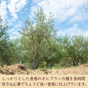 小豆島東洋オリーブ オリーブグラッセ 80gの詳細画像4