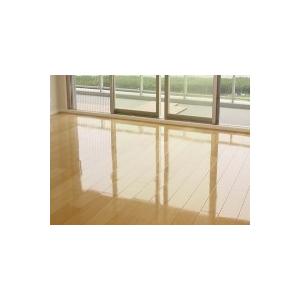 マキシマム 防水&ヒールバリアーワックス 2kgの詳細画像1