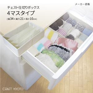 引出し収納 伸和（ 日用品、アウトドア用品） 衣装ケース 収納ケース プラスチック