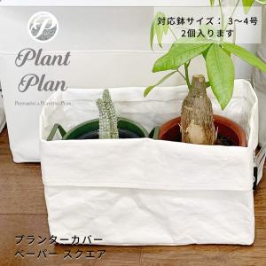 Plant Plan プラントプラン プランターカバー スクエアー  ペーパー 植木鉢カバー 3号 4号 2個入る クラフトペーパー  軽量 プランター 観葉植物 カバー｜toyocase-store