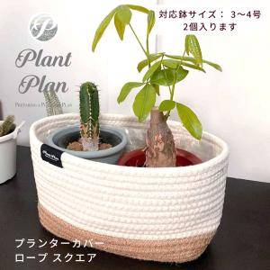 Plant Plan プラントプラン プランターカバー ロープ スクエア 植木鉢カバー 3号 4号 2個入る クラフトペーパー プランター 観葉植物 カバー 鉢カバ｜toyocase-store