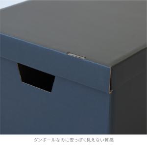 A4 収納ボックス 5個セット 黒 ブラック ...の詳細画像5