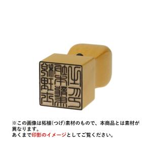 士業用印鑑 税理士 角印 職印 資格印 先生印 ブラストチタン スワロ アタリ付き 天角 24mm はんこ 印鑑 あすつく 即日発送 中｜toyodohanko