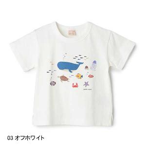SALE 10%OFF プティマイン peti...の詳細画像2