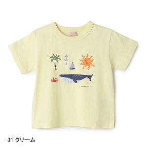 SALE 10%OFF プティマイン peti...の詳細画像3