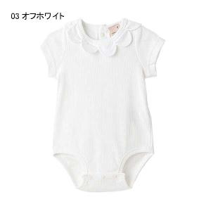 SALE 30%OFF プティマイン peti...の詳細画像1