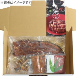 うなぎ 蒲焼き 国産 お試し 夏目セット(竹)...の詳細画像5