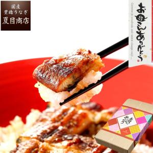 母の日 2026 ギフト プレゼント うなぎ  国産 ウナギ 鰻 50代 60代 70代  蒲焼き 155-167g×2尾 大盛2人前 花以外 爆買｜国産 豊橋うなぎ 夏目商店