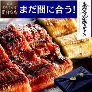 父の日 2026 まだ間に合う ギフト プレゼント うなぎ ウナギ 鰻 国産 50代 60代 70代 80代 紅白セット 蒲焼 白焼 211-230g×各1尾 約4人前 風呂敷包み 爆買