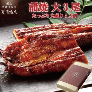 うなぎ 鰻 国産 プレゼント ギフト 蒲焼き 155-167g×3尾 大盛3人前 化粧箱 送料無料 父の日 お中元 お祝い 贈り物 誕生日 内祝い｜toyohashiunagi