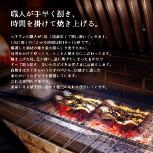 うなぎ 国産 蒲焼き 特大181-210g×2...の詳細画像1