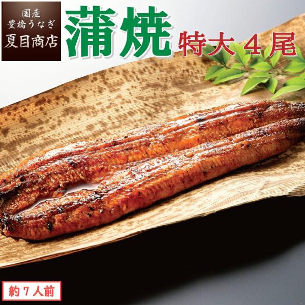 うなぎ  国産 蒲焼き 特大181-210g×4尾 （約7人前） ウナギ 鰻 送料無料 プレゼント ...