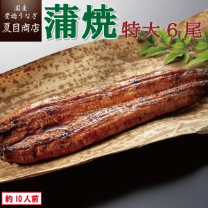 うなぎ 蒲焼き 国産 特大181-210g×6尾 （約10人前） 送料無料 プレゼント 贈り物 父の日 お中元 お祝い ギフト