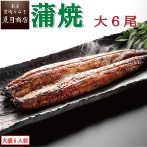 うなぎ 国産 蒲焼き 大155-180g×6尾 ...の商品画像