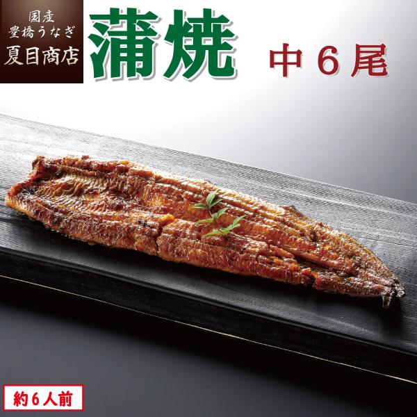 うなぎ 蒲焼き 国産 中115-130g×6尾 （約6人前） 送料無料 プレゼント 贈り物 お祝い ...