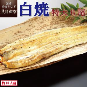 うなぎ 白焼き 国産 特大181-210g×6尾 （約10人前） 送...