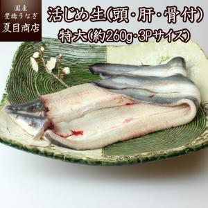 国産 うなぎ 生 (頭・肝・骨付)  活じめ 3Pサイズ(約260g)