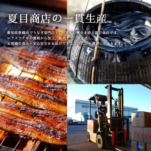 うなぎ の骨 150g(平均15本前後) ウナ...の詳細画像5