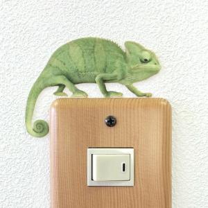 爬虫類 ウォールステッカー ANIMAL LIFE アニマルライフ 「エボシ