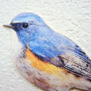 鳥 ウォールステッカー「BIRD L IFE ...の詳細画像1