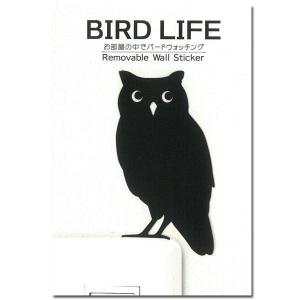 鳥 ウォールステッカー「BIRD L IFE バードライフ （コノハズク）」スイッチ ステッカー｜toyolabo