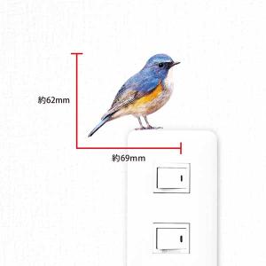 鳥 ウォールステッカー「BIRD L IFE ...の詳細画像2