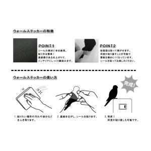 鳥 ウォールステッカー「BIRD L IFE ...の詳細画像3