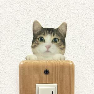 カラー ウォールステッカー 「CAT LI FE キャットライフ」（ネコA）